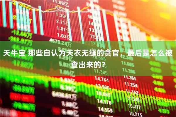 天牛宝 那些自认为天衣无缝的贪官，最后是怎么被查出来的？